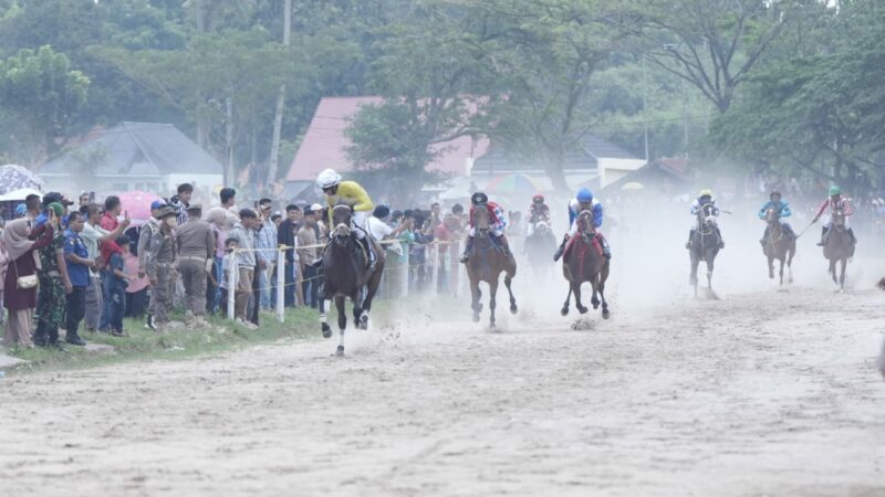 Gubernur Buka Iven Pacu Kuda di Payakumbuh, Diikuti 79 Kuda Pacu dari Sumatra dan Jawa