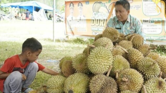 Pemkab Solsel menggelar Festival Durian Solok Selatan di Objek Wisata Pulau Mutiara, Nagari Lubuk Gadang Utara, Kecamatan Sangir. Kegiatan ini digelar sejak 16 hingga 19 April 2024.