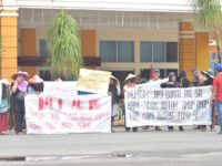 Masyarakat Petani Pejuang Nagari Kapa Unjuk Rasa, Tuntut Janji Bupati Pasaman Barat