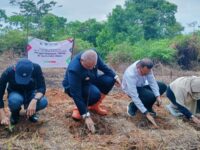 Bibit tanaman untuk bumbu randang ditanam di lahan seluas dua hektare di Sungai Bangek, Kecamatan Koto Tangah, Kota Padang, pada