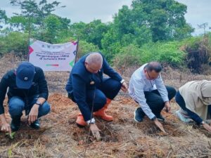 Bibit tanaman untuk bumbu randang ditanam di lahan seluas dua hektare di Sungai Bangek, Kecamatan Koto Tangah, Kota Padang, pada
