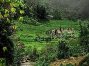 Desa Wisata Pesona Pagadih merupakan satu dari tiga desa wisata di Sumbar yang masuk dalam 50 besar Anugerah Desa Wisata Indonesia