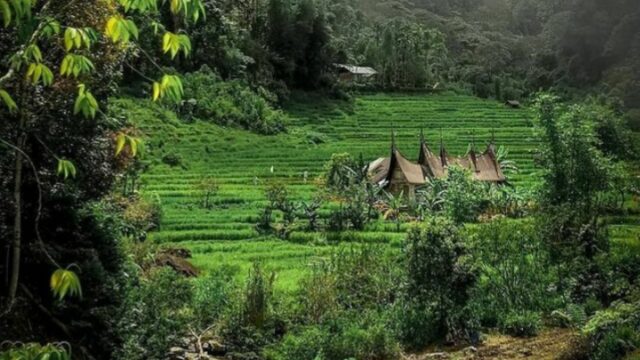 Desa Wisata Pesona Pagadih merupakan satu dari tiga desa wisata di Sumbar yang masuk dalam 50 besar Anugerah Desa Wisata Indonesia