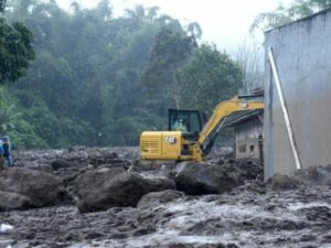 Banjir Lahar Dingin Agam: 141 Ternak Terdampak