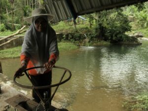Mengenalkan Energi Terbarukan sebagai Metode Bertani; Mungkin Bisa Membantu Petani di Kaki Bukit Barisan Lepas dari Belenggu Anomali Cuaca