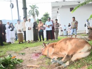 Capai 8.047 Ekor, Pj Wako Puji Semangat Warga Padang Berkurban