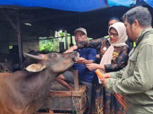 Dinas Pertanian Kota Padang menurunkan tim kesehatan hewan (Keswan) untuk mengecek kesehatan hewan kurban di daerah tersebut.