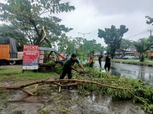 BPBD Kota Padang mencatat adanya 12 titik pohon tumbang akibat hujan deras disertai dengan angin kencang terjadi pada Jumat (21/6/2024) sore.