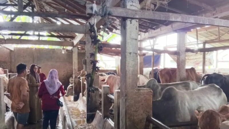 Dinas Pertanian, Pangan dan Perikanan (PP) Kota Pariaman melakukan pemeriksaan kesehatan hewan kurban di daerah tersebut jelang Idul