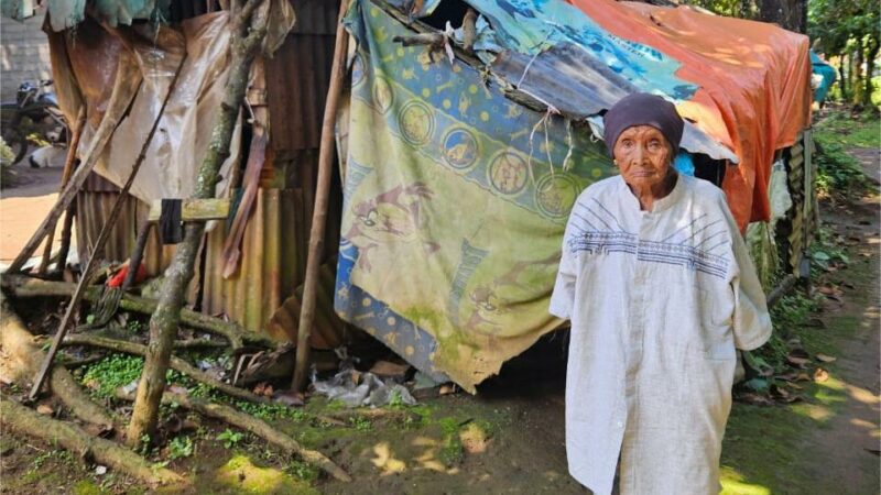 Nenek 83 Tahun di Situjuah Limapuluh Kota Tinggal di Rumah Mirip Kandang Ternak