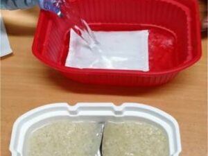 Memperkuat Ketahanan Pangan di Daerah Bencana Melalui Teknologi Inovatif