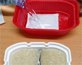 Memperkuat Ketahanan Pangan di Daerah Bencana Melalui Teknologi Inovatif