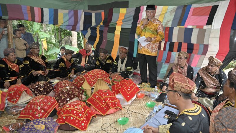 Mahyeldi Hadiri Prosesi Gala Datuak Majodeso Penghulu Adat Kaum Suku Piliang Sungai Lawai