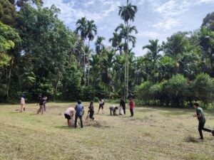 Anak Nagari Gotong Royong Persiapkan Festival Maek