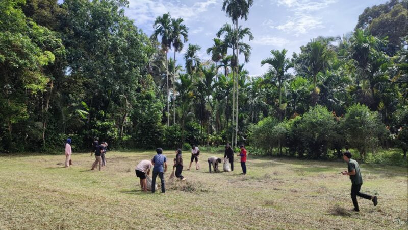 Anak Nagari Gotong Royong Persiapkan Festival Maek
