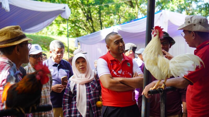 Lomba Ayam Kokok Balenggek di Faterna UNAND