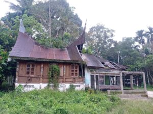 Aku berjalan kaki sepanjang jalan Koto Gadang, Nagari Maek, suatu pagi ketika udara terasa sejuk di kulit dan wajah Bukik Posuak masih