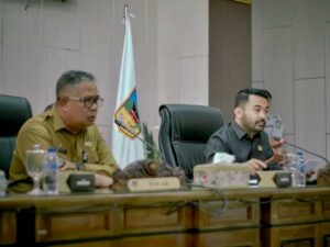 APBD Perubahan 2024, Solsel Targetkan Pertumbuhan Ekonomi 4,81 Persen