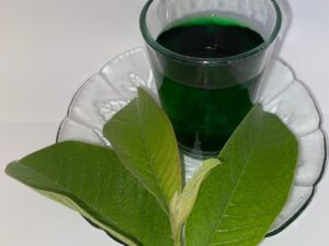 Minuman Klorofil: Tren Kesehatan yang Perlu Menjadi Bagian dari Gaya Hidup Sehat