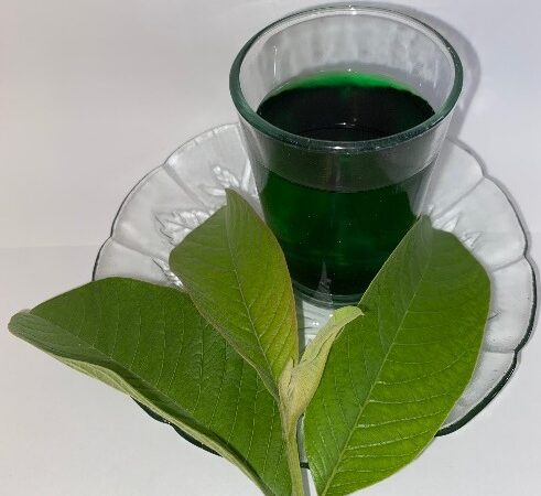 Minuman Klorofil: Tren Kesehatan yang Perlu Menjadi Bagian dari Gaya Hidup Sehat