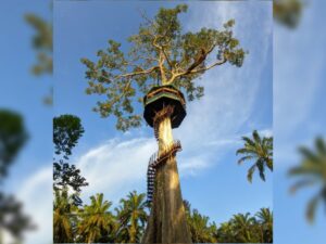 Jorong Anak Air Kasing terletak di Nagari Bawan, Kecamatan Ampek Nagari, Kabupaten Agam, Provinsi Sumatra Barat. Wilayah ini berada di daerah