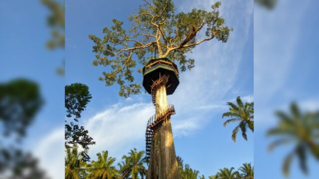 Jorong Anak Air Kasing terletak di Nagari Bawan, Kecamatan Ampek Nagari, Kabupaten Agam, Provinsi Sumatra Barat. Wilayah ini berada di daerah
