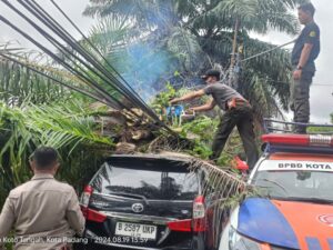 Hujan dan angin kencang yang melanda Kota Padang, menyebabkan terjadinya pohon tumbang menimpa mobil, kabel listik dan Telkom.