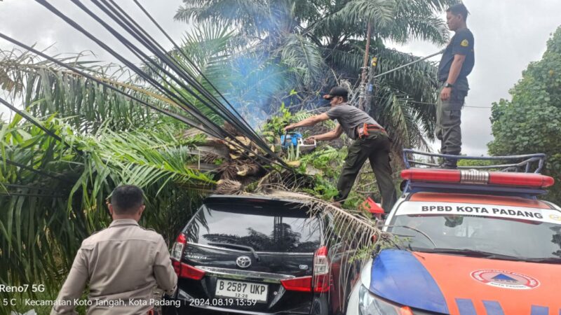 Hujan dan angin kencang yang melanda Kota Padang, menyebabkan terjadinya pohon tumbang menimpa mobil, kabel listik dan Telkom.