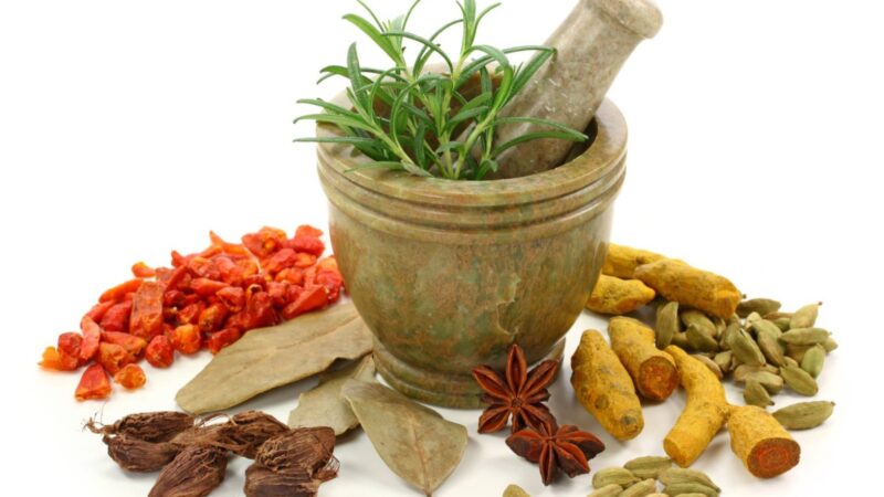 Dosen Fakultas Farmasi UM Sumatera Barat, Femi Earnestly berhasil meraih dana hibah untuk penelitian inovatif tentang Potensi Etnofarmaka