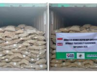 Kopi yang siap diekspor ke Jepang. Foto: ALKO