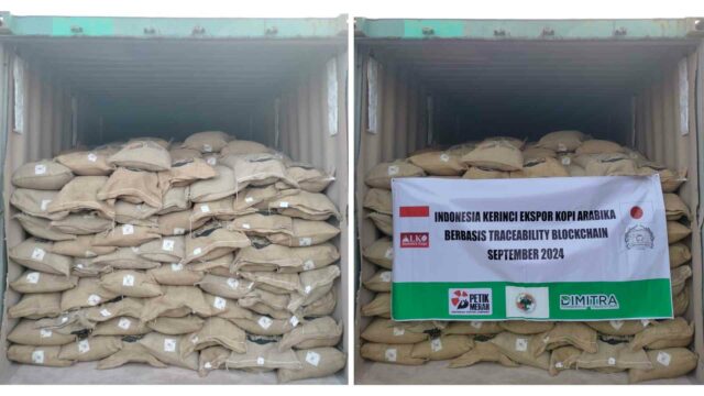 Kopi yang siap diekspor ke Jepang. Foto: ALKO