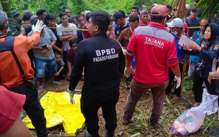 Nia Kurnia Sari ditemukan terkubur di lahan perkebunan di Pasa Gelombang, Nagari Kayu Tanam, Kecamatan 2x11 Enam Lingkung, Padang Pariaman,