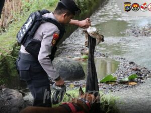 Tim Unit Satwa Polda Sumbar melakukan pelacakan di Jorong Pasa Surau, Nagari Guguak, Kecamatan 2x11 Kayu Tanam, Kabupaten Padang Pariaman