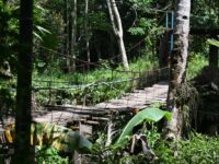 Sudah Rusak, Hutama Karya dan HKI Berkolaborasi Bangun Jembatan Gantung di Padang Pariaman
