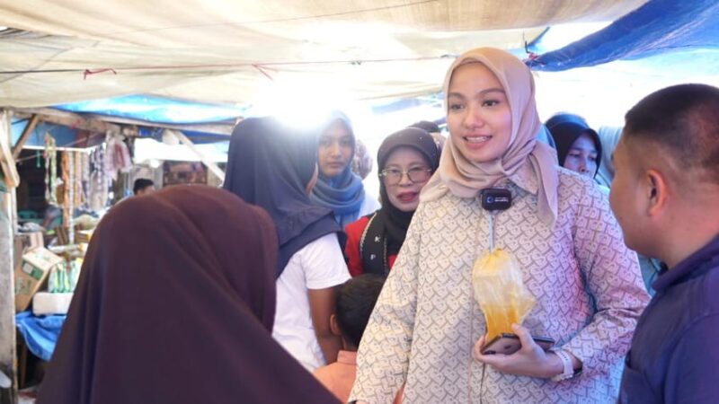 Sulap Limbah Jadi Pupuk Organik, Calon Bupati Dharmasraya Annisa Suci Ramadhani Bakal Bangun Pabrik Pupuk