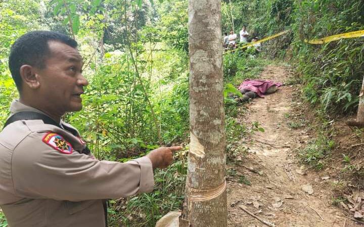Mayat Pria Ditemukan di Ladang Karet Sijunjung, Diduga Korban Pembunuhan