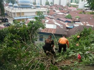 Hujan dan Angin Kencang Sebabkan Longsor dan Pohon Tumbang di Sejumlah Titik Kota Padang