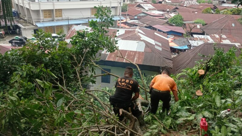 Hujan dan Angin Kencang Sebabkan Longsor dan Pohon Tumbang di Sejumlah Titik Kota Padang