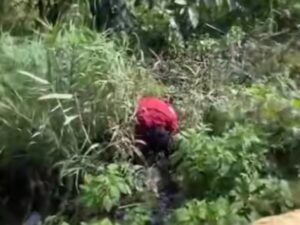 Mayat Misterius di Sitinjau Lauik, Sehari-harinya Bekerja di Payakumbuh