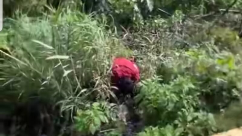 Penemuan Mayat di Sitinjau Lauik, Polisi Lakukan Penyelidikan