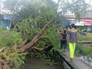 Kota Padang kembali diguyur hujan dengan intensitas sedang hingga tinggi sejak pukul 17.30 WIB, Jumat (4/10/2024). Kondisi cuaca ini menimbulkan potensi genangan air, banjir,
