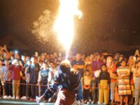 Festival Kesenian Pesisir Selatan: Sanggar Lokal Tampilkan Seni Tradisi