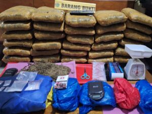 Dua pelaku peredaran narkotika jenis ganja kering dan sabu diringkus Satresnarkoba Polres dan Polsek Talamau Polres Pasaman Barat,