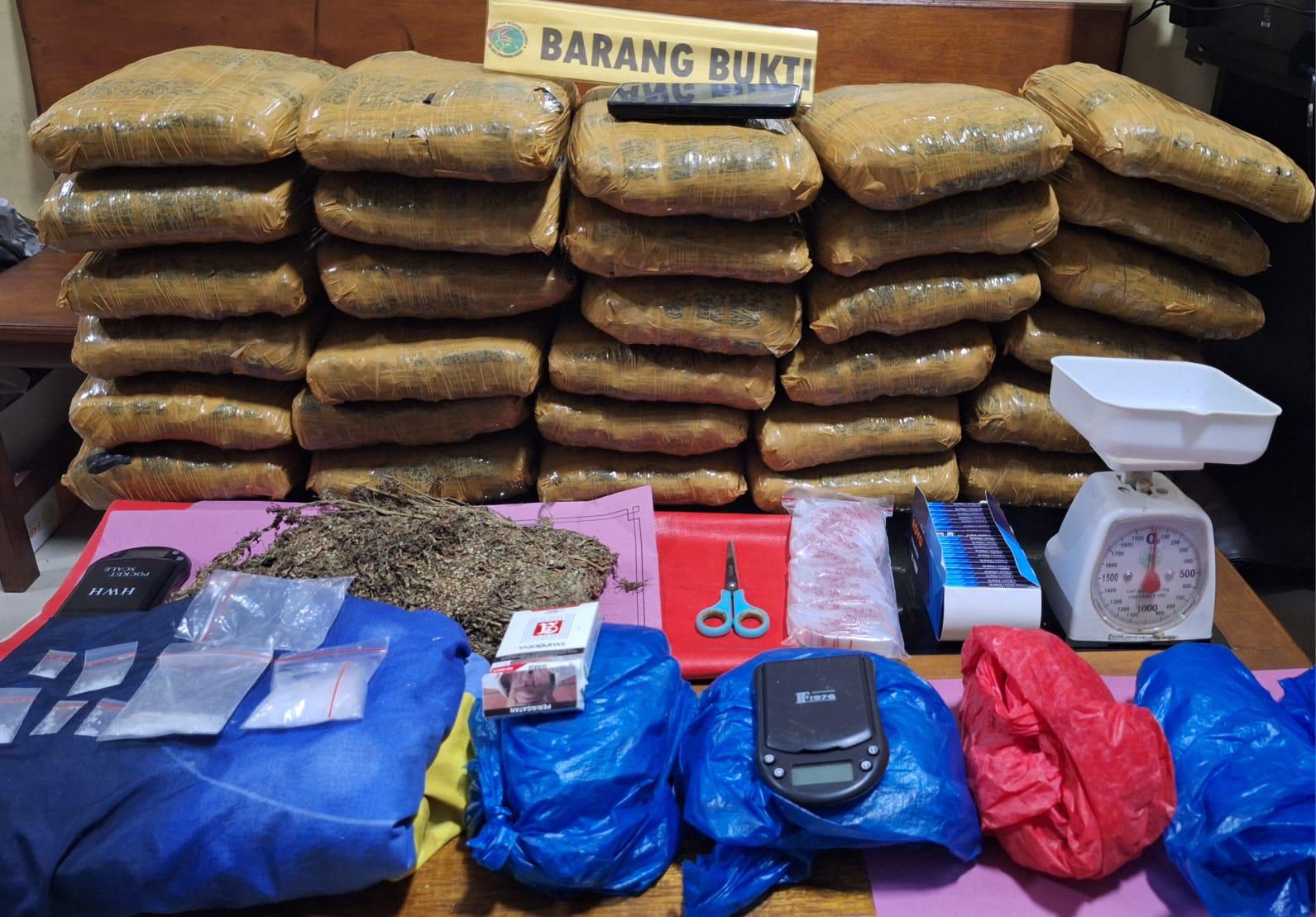 Polres Pasaman Barat Amankan Ganja 30 Kg, 2 Pelaku Diringkus