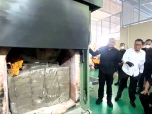 BNNP Sumbar Musnahkan 622 Kilogram Ganja Hasil Pengungkapan Jaringan Narkoba