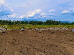 Dinas Pertanian Tanah Datar melakukan optimasi lahan pertanian yang terdampak banjir banjir. Berdasarkan data Dinas Pertanian Tanah Datar,