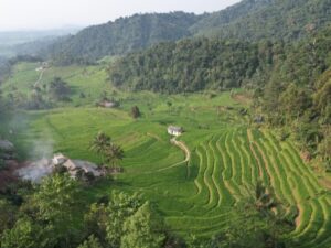 Kementerian Agraria dan Tata Ruang/Badan Pertanahan Nasional (ATR/BPN) turut mendukung swasembada pangan yang ingin diwujudkan