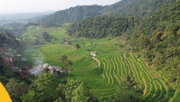 Kementerian ATR/BPN Dukung Swasembada Pangan Melalui Program Reforma Agraria