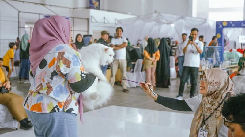 68 Kucing Ikuti Kontes Kucing Sehat Sumbar di Papa Fest 2024