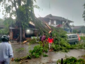 Hujan deras disertai angin kencang melanda Kota Padang pada Senin (23/12/2024) menyebabkan pohon tumbang di Jalan Sumatera,